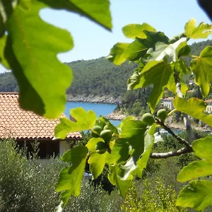  Apartment Ida Sveta Marina Kroatien